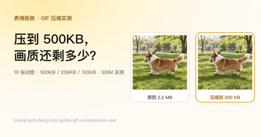 GIF 压缩会损失画质吗？10 张动图实测