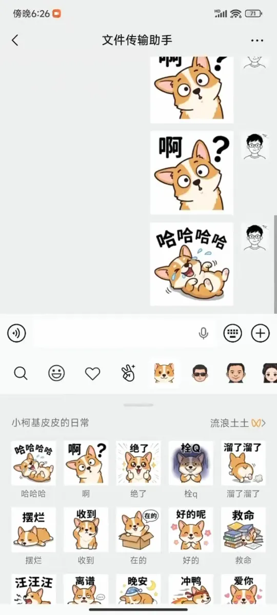 视频封面：用表情厨房制作并上架的柯基表情包在微信聊天中使用
