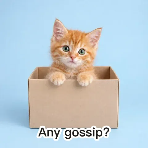 Sticker-style template example: a cat in a box captioned “Any gossip?”