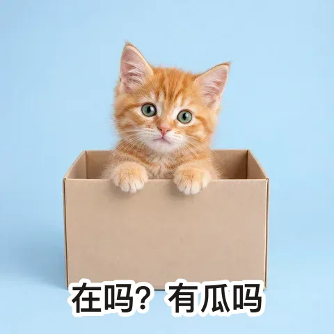 表情包风模板示例：纸箱里的猫配“在吗？有瓜吗”