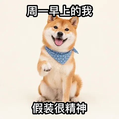 经典叠字表情包模板示例：柴犬照片上下配白字黑边的“周一早上的我 / 假装很精神”