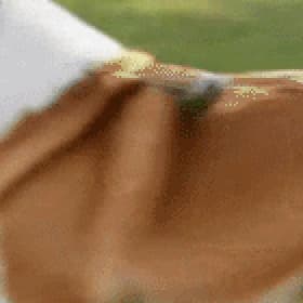 柯基 GIF 原图的原尺寸局部放大