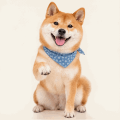 A seated Shiba Inu against an ivory background, animated: Stay seated, lift one front paw and give a gentle wave without moving the body.